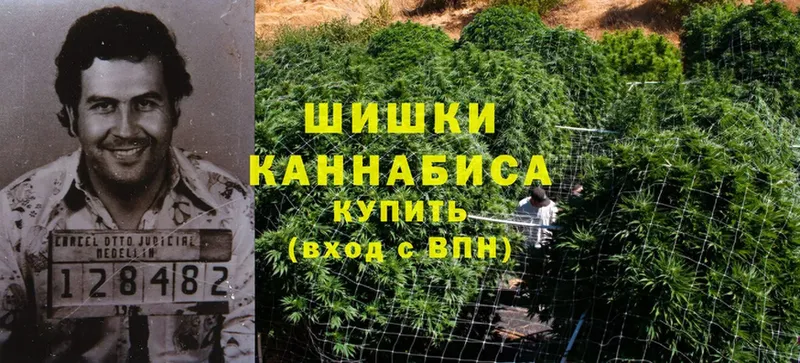 Бошки марихуана Ganja  Кирс 